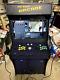 Full Size Ultimate Gaming Arcade With Dual Light Guns 32 Screen